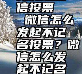 免费给微信投票   微信怎么发起不记名投票？微信怎么发起不记名投票？