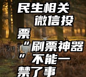 民生相关  微信投票   “刷票神器”不能一禁了事