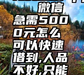 免费投票app   微信急需5000元怎么可以快速借到,人品不好,只能用第三种