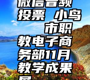 微信音频投票 小鸟   市职教电子商务部11月教学成果展