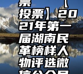 网站 刷票   【投票】2021年第一届湖南民革榜样人物评选微信公众号投票