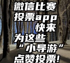 微信比赛投票app   快来为这些“小导游”点赞投票!