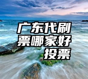 广东代刷票哪家好   投票