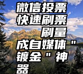 微信投票快速刷票   刷量成自媒体＂镀金＂神器