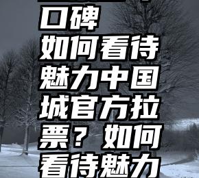 微信人工投票多年口碑   如何看待魅力中国城官方拉票？如何看待魅力中国城官方拉票？