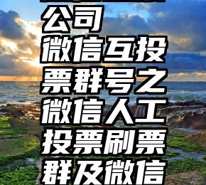 徐州网络微信投票公司   微信互投票群号之微信人工投票刷票群及微信投票刷票群二维码