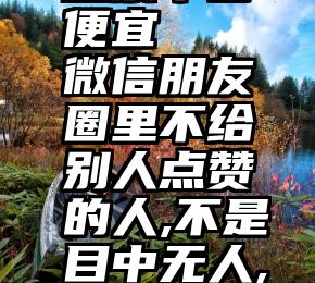 哪家微信投票平台便宜   微信朋友圈里不给别人点赞的人,不是目中无人,往往是这种4人