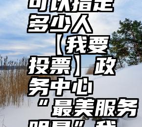 微信投票可以指定多少人   【我要投票】政务中心“最美服务明星”我来选