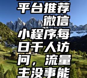 微信投票平台推荐   微信小程序每日千人访问，流量主没事能收入多少