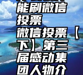 什么软件能刷微信投票   微信投票【下】第三届感动集团人物介绍