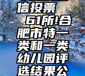 专业刷微信投票   61所!合肥市特一类和一类幼儿园评选结果公示!