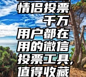 微信最佳情侣投票   千万用户都在用的微信投票工具,值得收藏系列~~