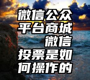 微信公众平台商城   微信投票是如何操作的