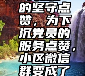  为医护的坚守点赞，为下沉党员的服务点赞，小区微信群变成了“夸夸群”