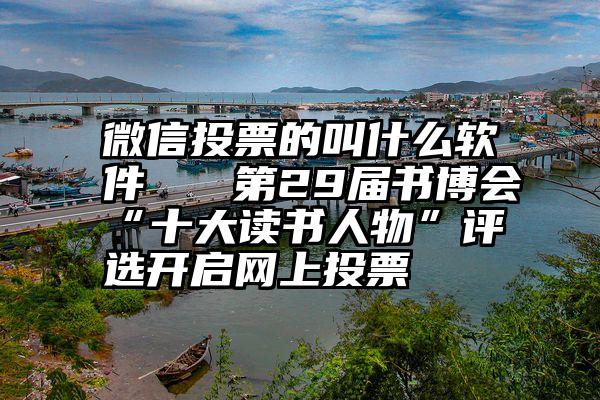 微信投票的叫什么软件   第29届书博会“十大读书人物”评选开启网上投票