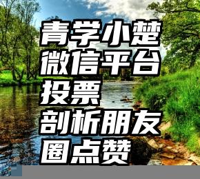 青学小楚微信平台投票   剖析朋友圈点赞