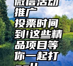 微信活动推广   投票时间到!这些精品项目等你一起打call→