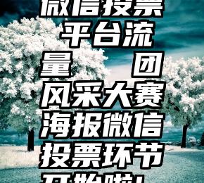 微信投票 平台流量   团风采大赛海报微信投票环节开始啦!