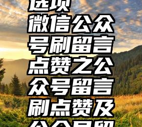 微信投票最多50个选项   微信公众号刷留言点赞之公众号留言刷点赞及公众号留言点赞怎么刷