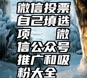 微信投票自己填选项   微信公众号推广和吸粉大全