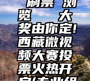 微信投票 刷票 浏览   大奖由你定!西藏微视频大赛投票火热开启(专业组)