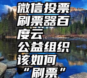 微信投票刷票器百度云   公益组织该如何“刷票”