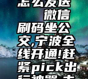 微信投票怎么发送   微信刷码坐公交,宁波全线开通!赶紧pick出行神器,去嗨吃~