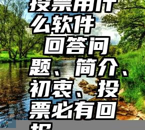 投票用什么软件   回答问题、简介、初衷、投票必有回报