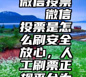 人人帮 微信投票   微信投票是怎么刷安全放心，人工刷票正规平台为你支招