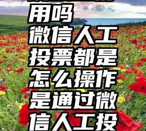 微信投票刷票器好用吗   微信人工投票都是怎么操作是通过微信人工投票软件执行的吗