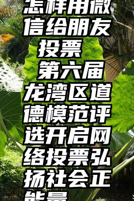 怎样用微信给朋友 投票   第六届龙湾区道德模范评选开启网络投票弘扬社会正能量