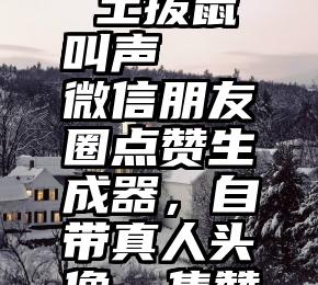 微信刷票 土拨鼠叫声   微信朋友圈点赞生成器，自带真人头像，集赞不求人