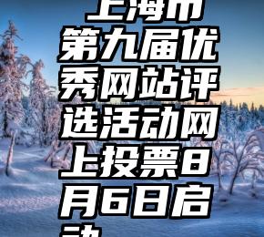  上海市第九届优秀网站评选活动网上投票8月6日启动