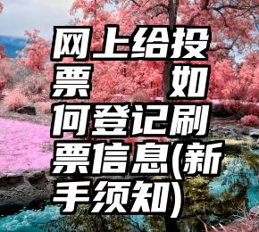 网上给投票   如何登记刷票信息(新手须知)