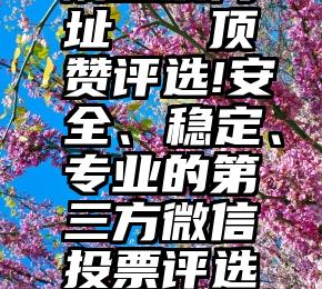 刷投票网址   顶赞评选!安全、稳定、专业的第三方微信投票评选平台