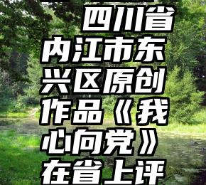 微信朋友圈 投票   四川省内江市东兴区原创作品《我心向党》在省上评选平台速来投票