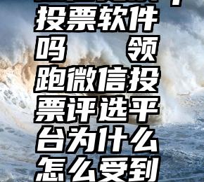 微信更换ip投票软件吗   领跑微信投票评选平台为什么怎么受到大家欢迎