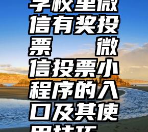 学校里微信有奖投票   微信投票小程序的入口及其使用技巧