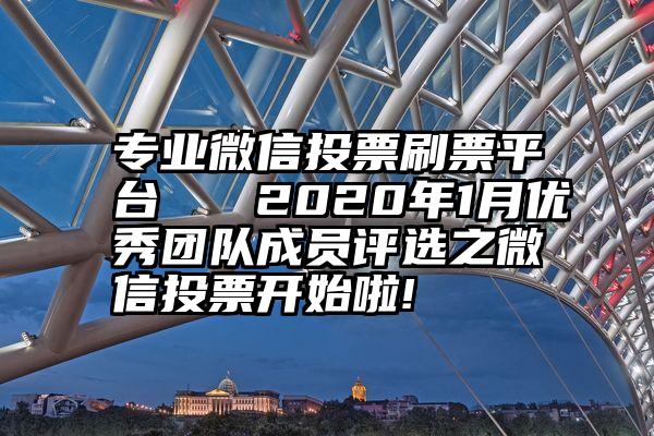 专业微信投票刷票平台   2020年1月优秀团队成员评选之微信投票开始啦!