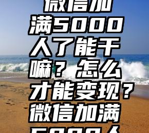 南阳市微信投票免费咨询   微信加满5000人了能干嘛？怎么才能变现？微信加满5000人了能干嘛？怎么才能变现？