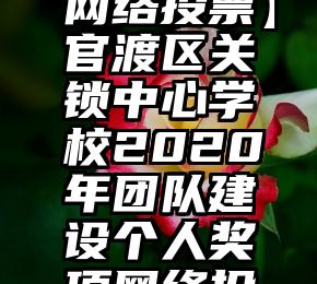 公司代理投票   【网络投票】官渡区关锁中心学校2020年团队建设个人奖项网络投票评比活动