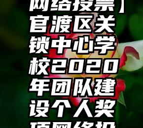 公司代理投票   【网络投票】官渡区关锁中心学校2020年团队建设个人奖项网络投票评比活动