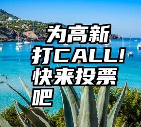  为高新打CALL!快来投票吧