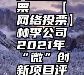 形象代言人微信投票   【网络投票】林李公司2021年“微”创新项目评选投票开始啦!