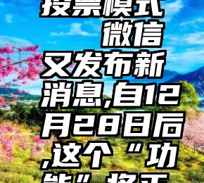 书法微信投票模式   微信又发布新消息,自12月28日后,这个“功能”将正式停运