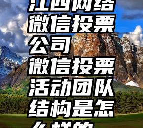 江西网络微信投票公司   微信投票活动团队结构是怎么样的