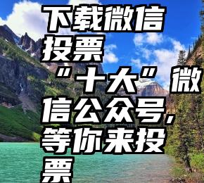 下载微信投票   “十大”微信公众号,等你来投票