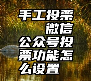 手工投票   微信公众号投票功能怎么设置