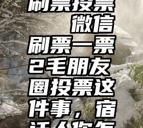 贵州专业刷票投票   微信刷票一票2毛朋友圈投票这件事，宿迁人你怎么看