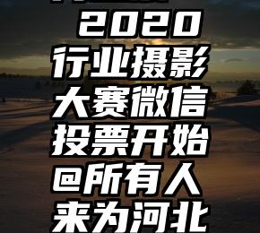 微信群群内投票   2020行业摄影大赛微信投票开始@所有人来为河北作品投票!加油!